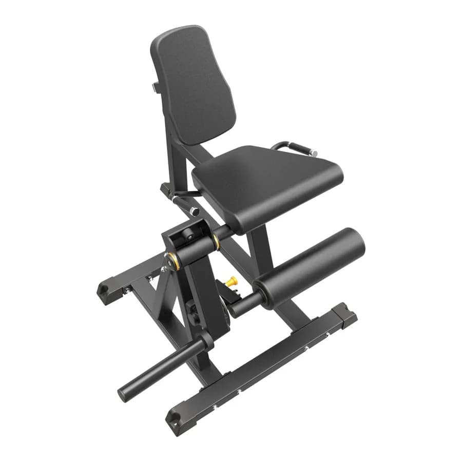 Extensión y flexión de piernas con discos