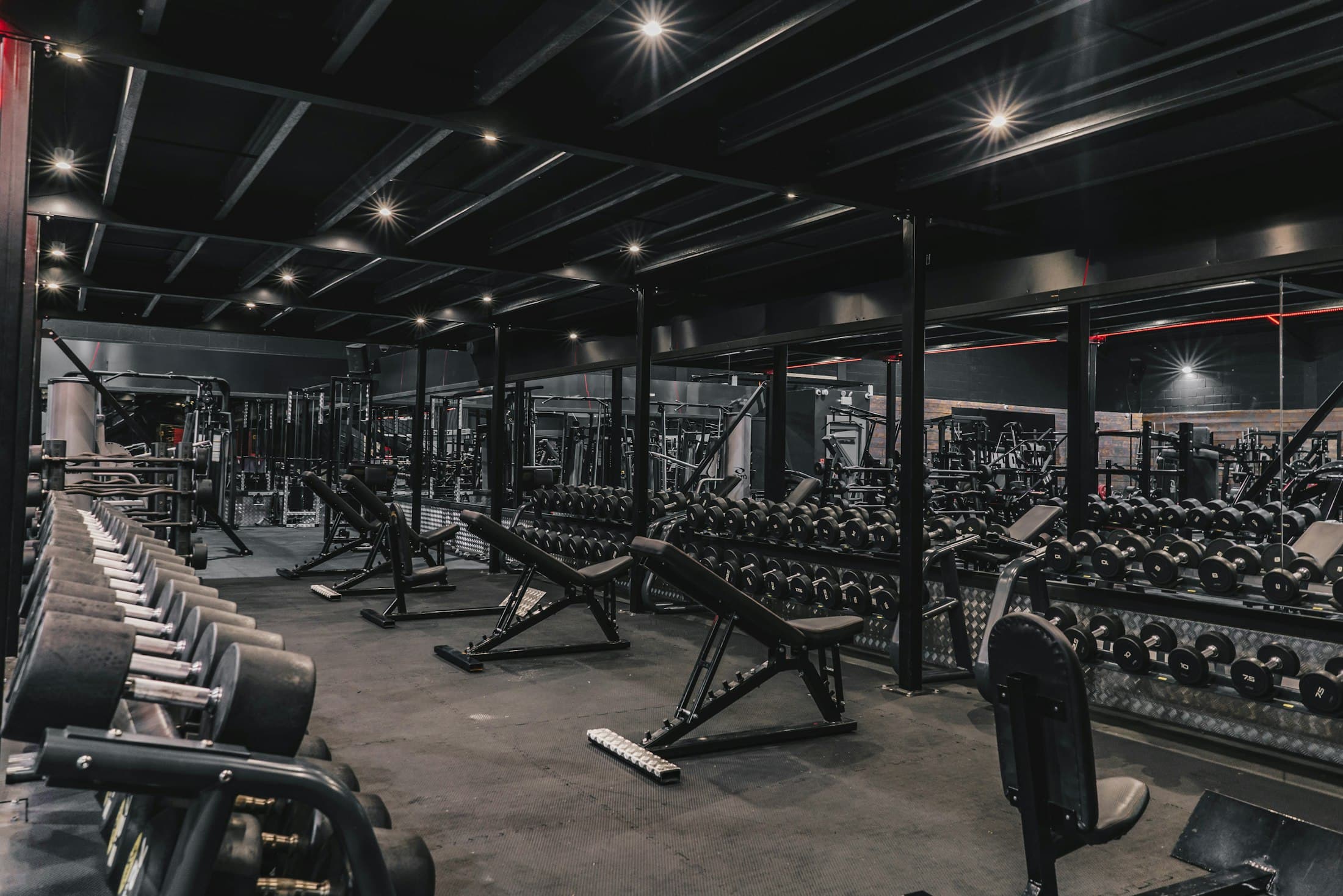 Gimnasio comercial con zona de peso libre, bancos y racks de mancuernas